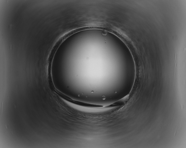 X0000088081222200705251402
