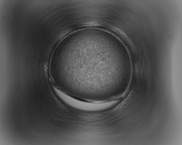 X0000088081225200705251402