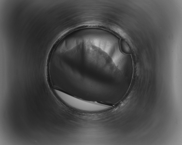 X0000088081229200705251402