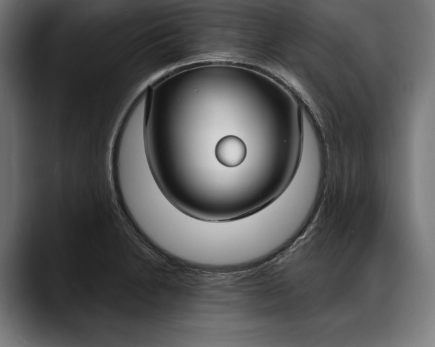X0000088081230200705251402