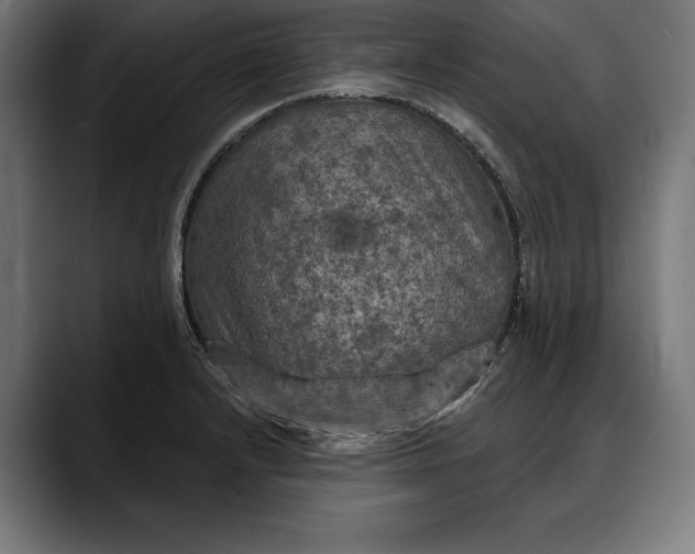 X0000088081232200705251402