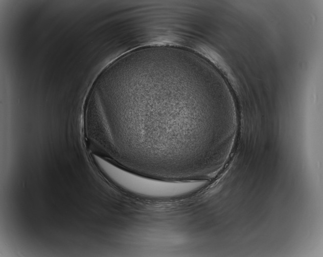 X0000088081234200705251402