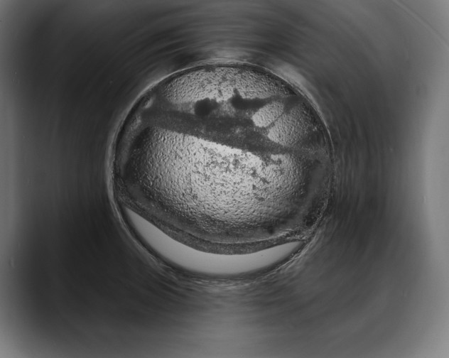 X0000088081235200705251402