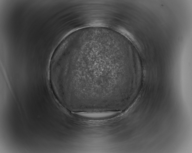 X0000088081236200705251402