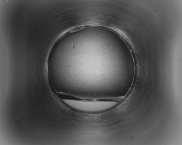 X0000088081238200705251402