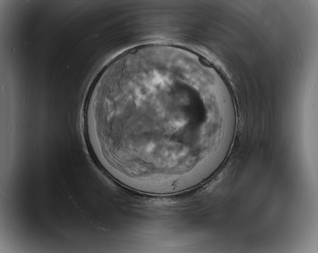 X0000088081239200705251402