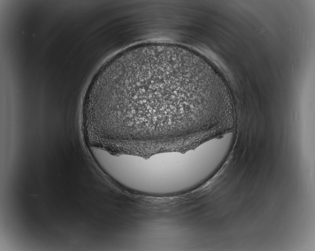 X0000088081240200705251402