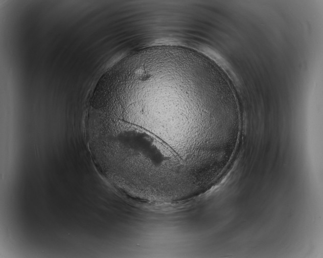 X0000088081241200705251402