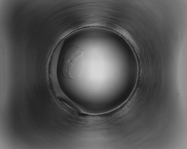 X0000088081242200705251402