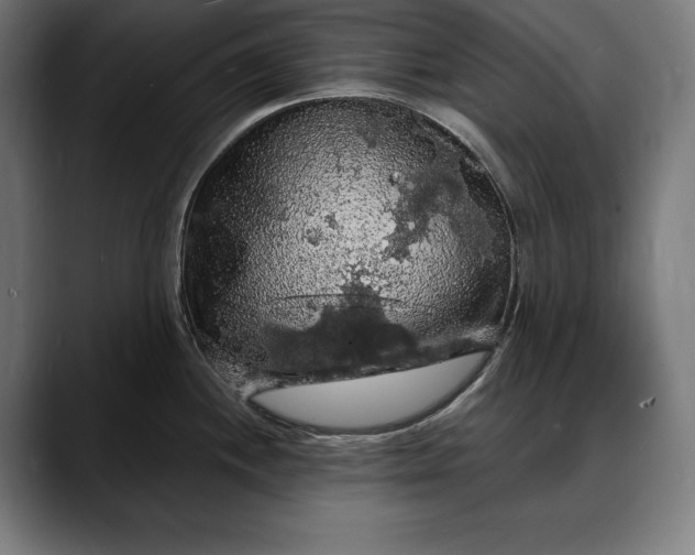 X0000088081244200705251402