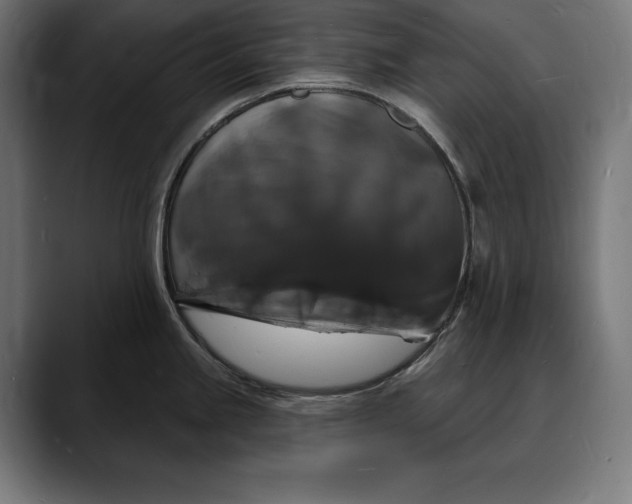 X0000088081245200705251402