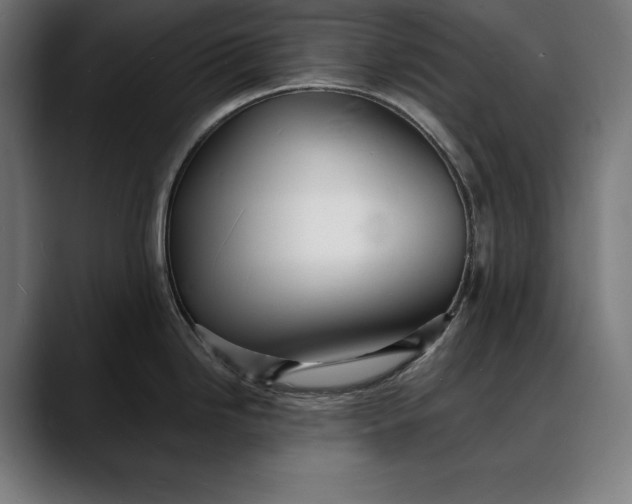 X0000088081246200705251402