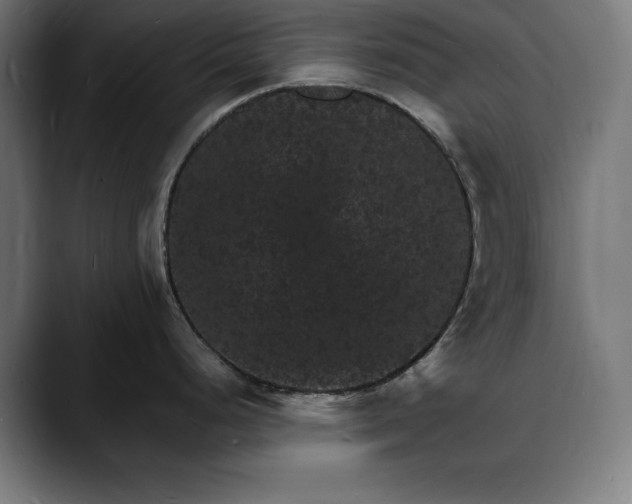 X0000088081248200705251402