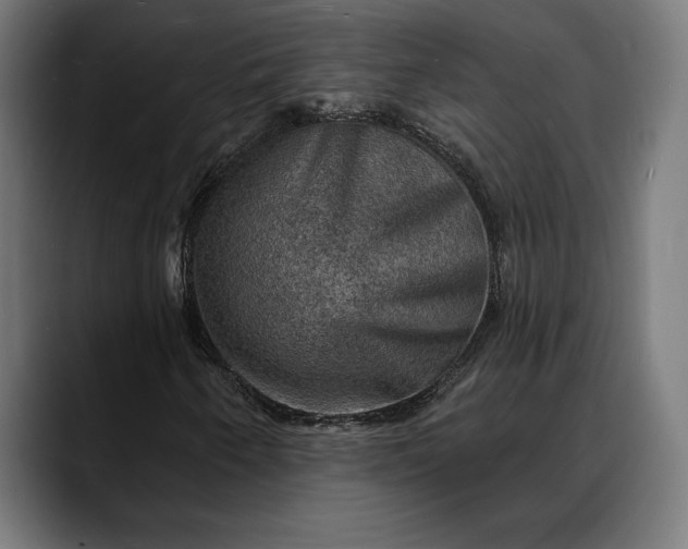 X0000088081250200705251401
