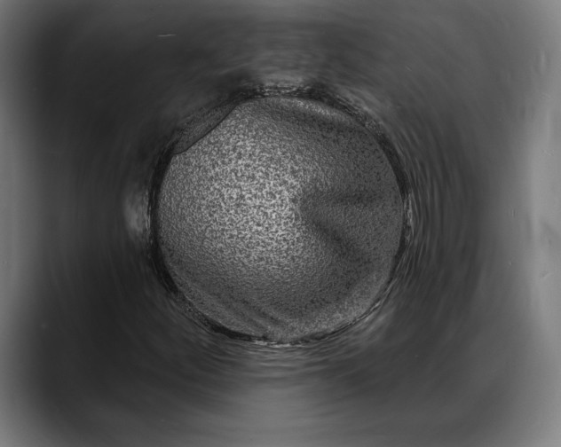 X0000088081252200705251401