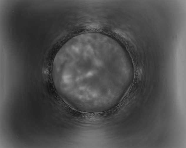 X0000088081254200705251401