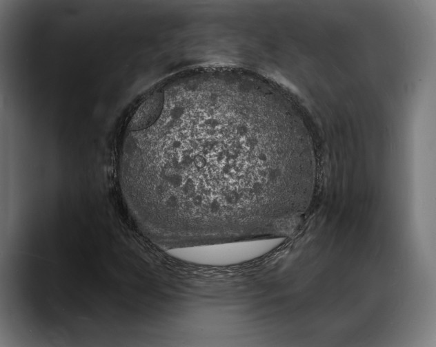 X0000088081255200705251401