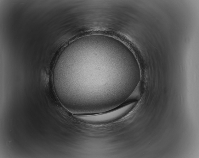 X0000088081257200705251401