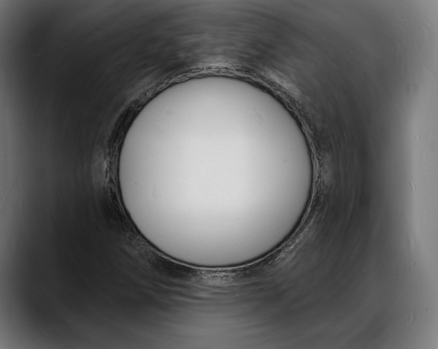 X0000088081258200705251401