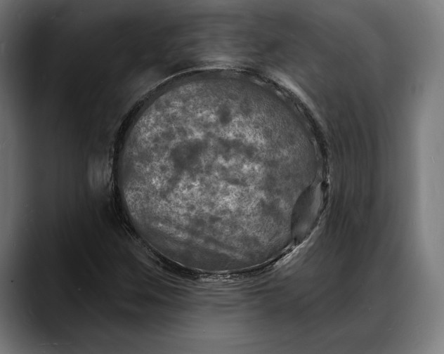 X0000088081259200705251401