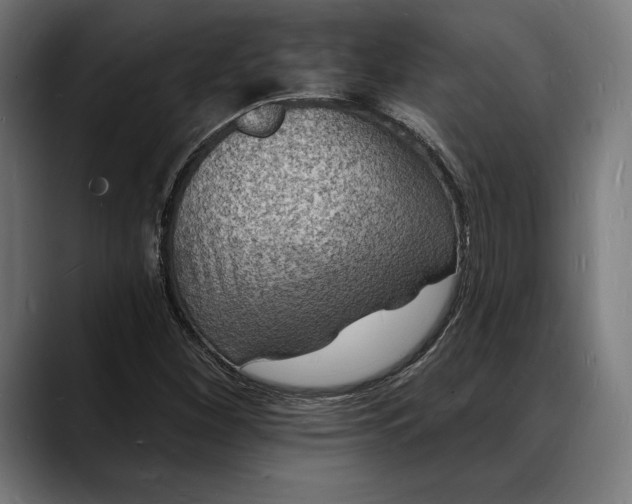 X0000088081260200705251401