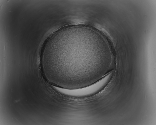 X0000088081261200705251401