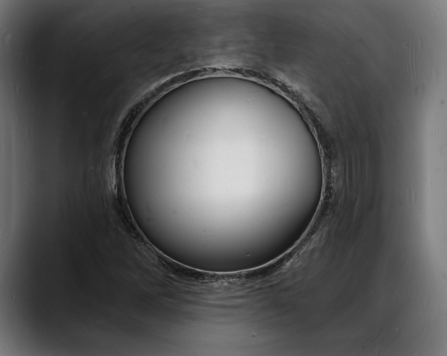 X0000088081262200705251401