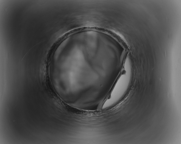 X0000088081263200705251401