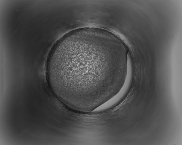 X0000088081264200705251401