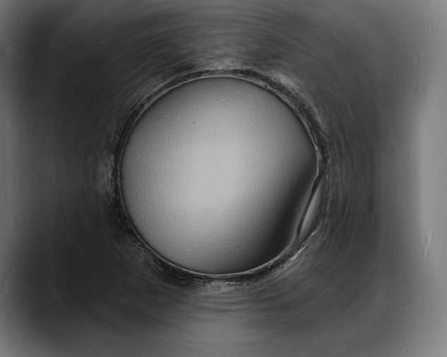 X0000088081265200705251401