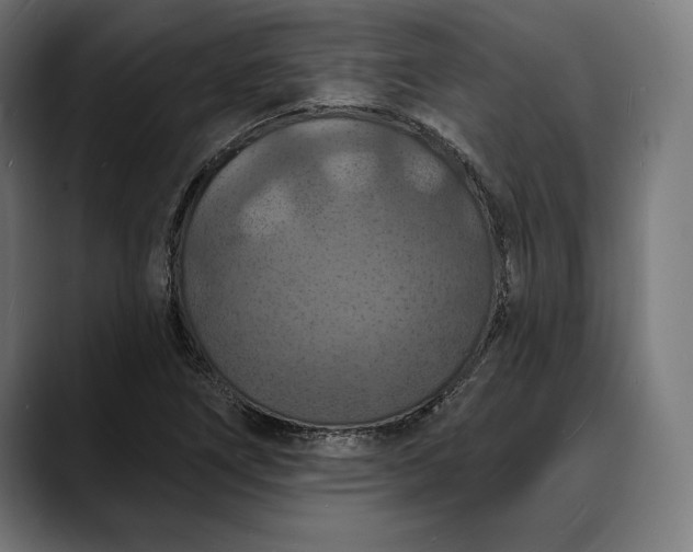 X0000088081266200705251401