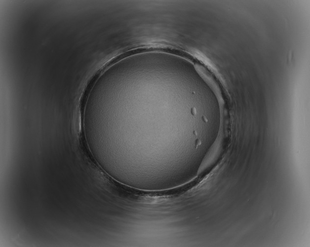 X0000088081269200705251401