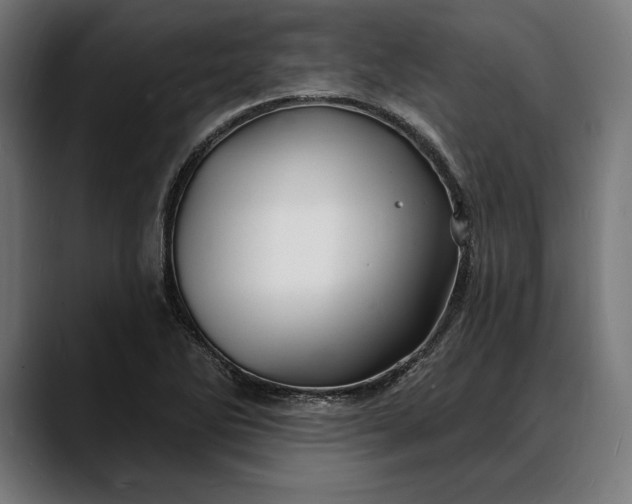 X0000088081270200705251401