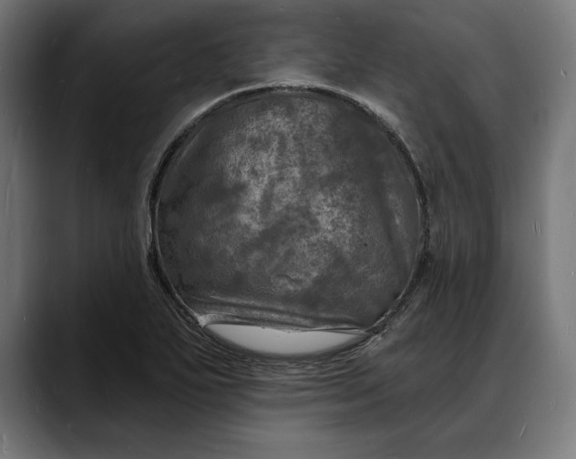 X0000088081271200705251401
