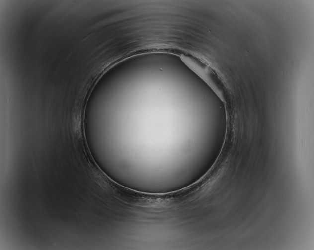 X0000088081273200705251401