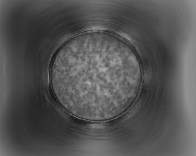 X0000088081274200705251401