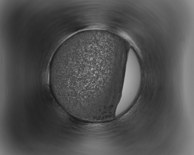 X0000088081276200705251401