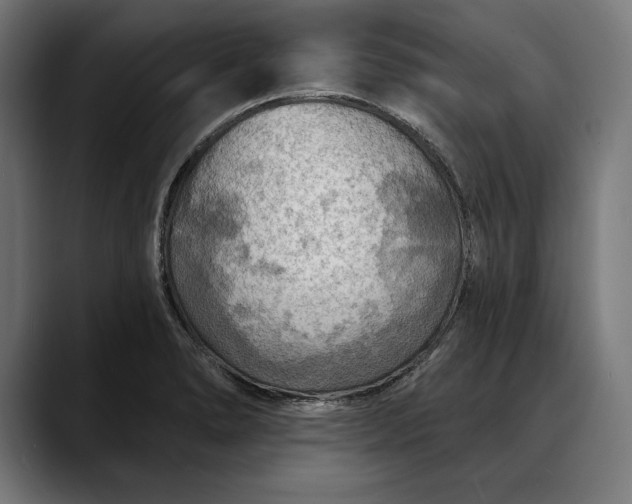 X0000088081278200705251401