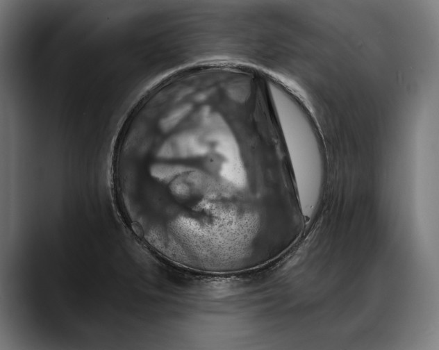 X0000088081279200705251401