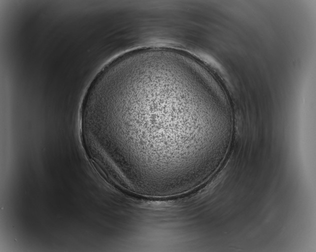 X0000088081280200705251401