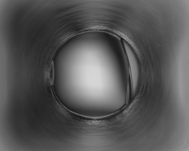 X0000088081281200705251401