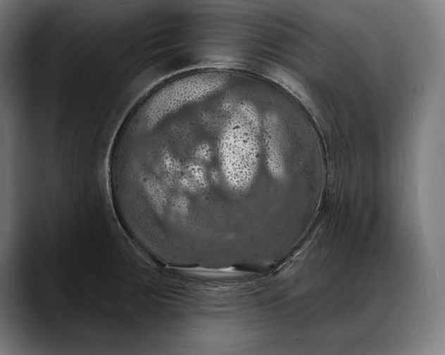 X0000088081283200705251401