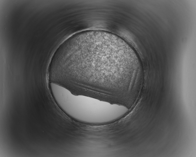 X0000088081284200705251401
