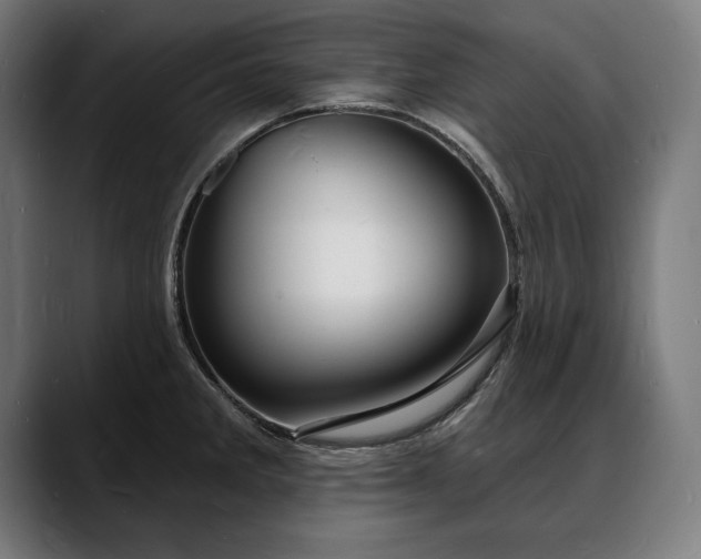 X0000088081285200705251401