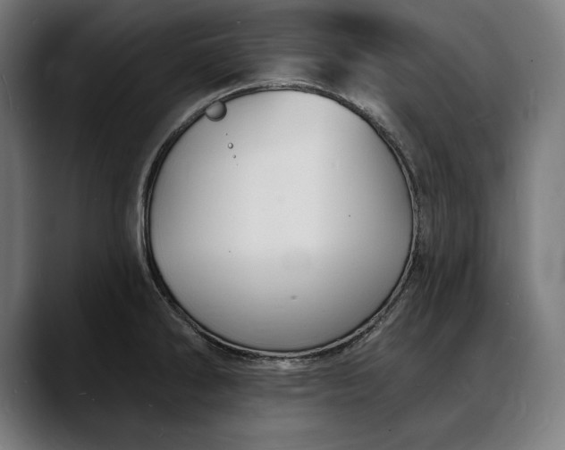 X0000088081286200705251401