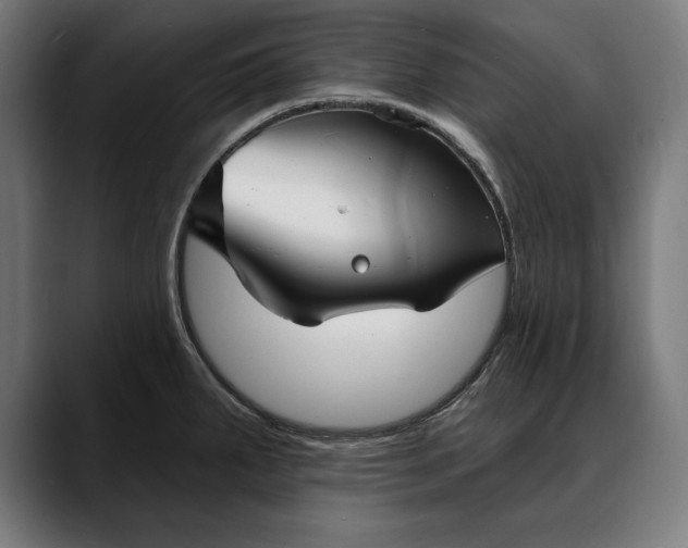 X0000088081287200705251401