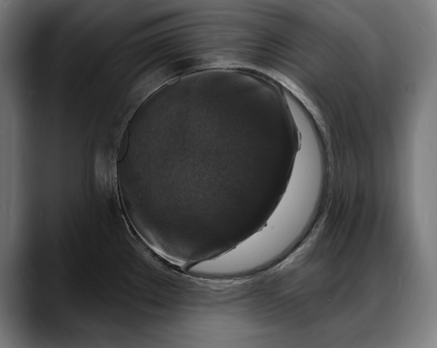 X0000088081289200705251401