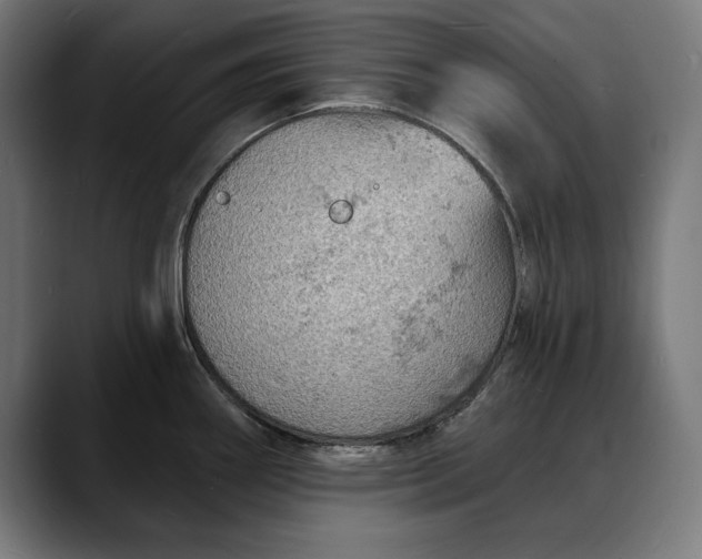 X0000088081290200705251401
