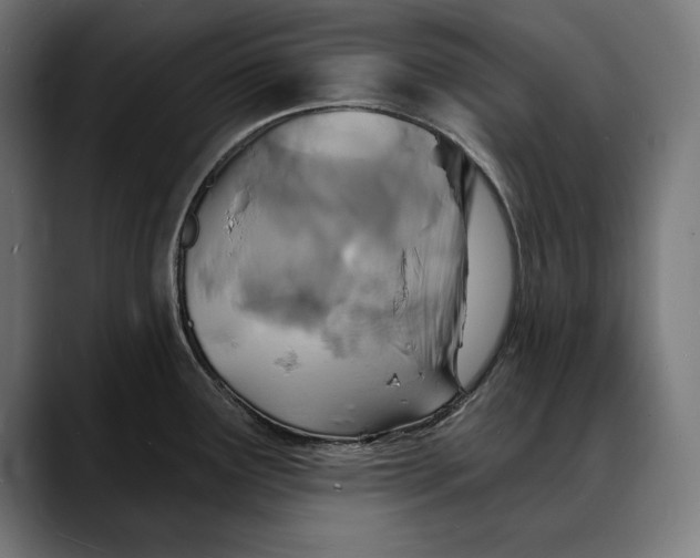 X0000088081291200705251401