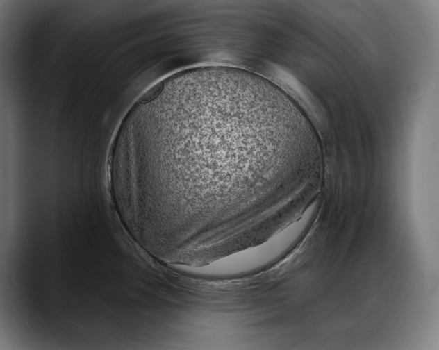 X0000088081292200705251401